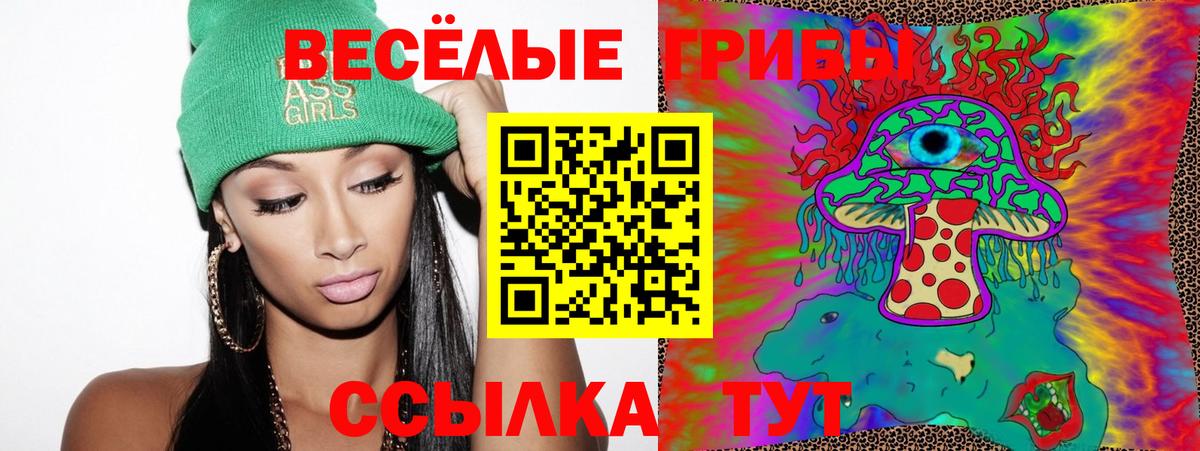 Псилоцибиновые грибы Cubensis Саранск